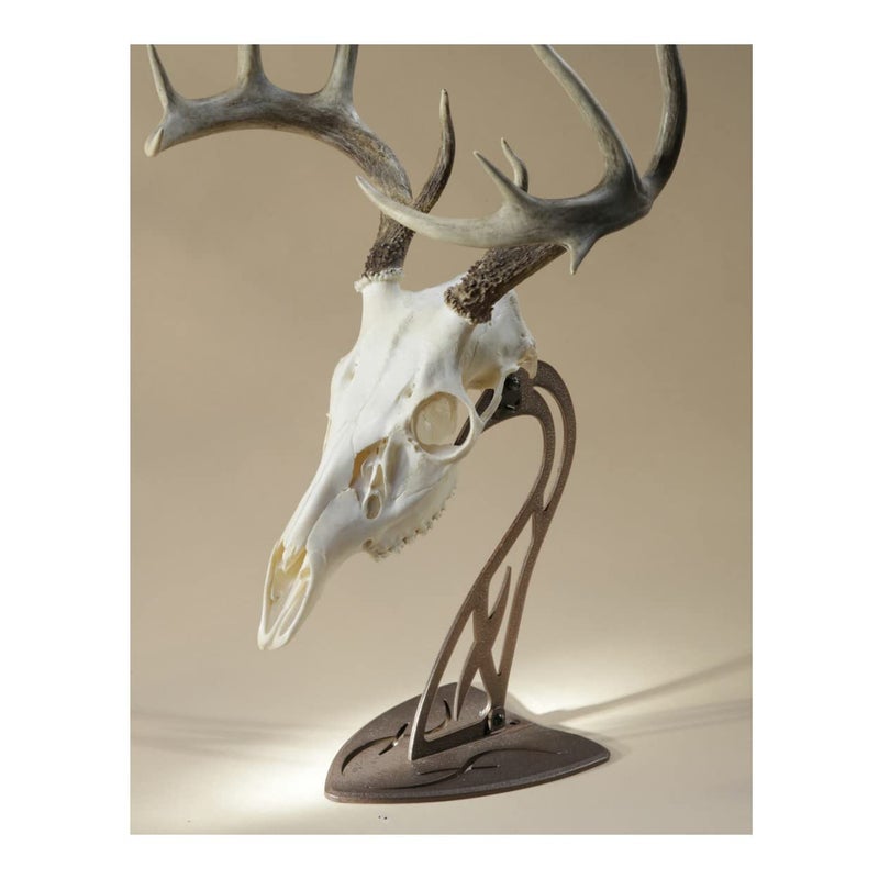 Skull Hooker Table Hooker European Trophy Mount â€“ Perfect Kit for Table Display of Taxidermy Deer Antlers and other Skulls â€“ Robust Brown - Image 4